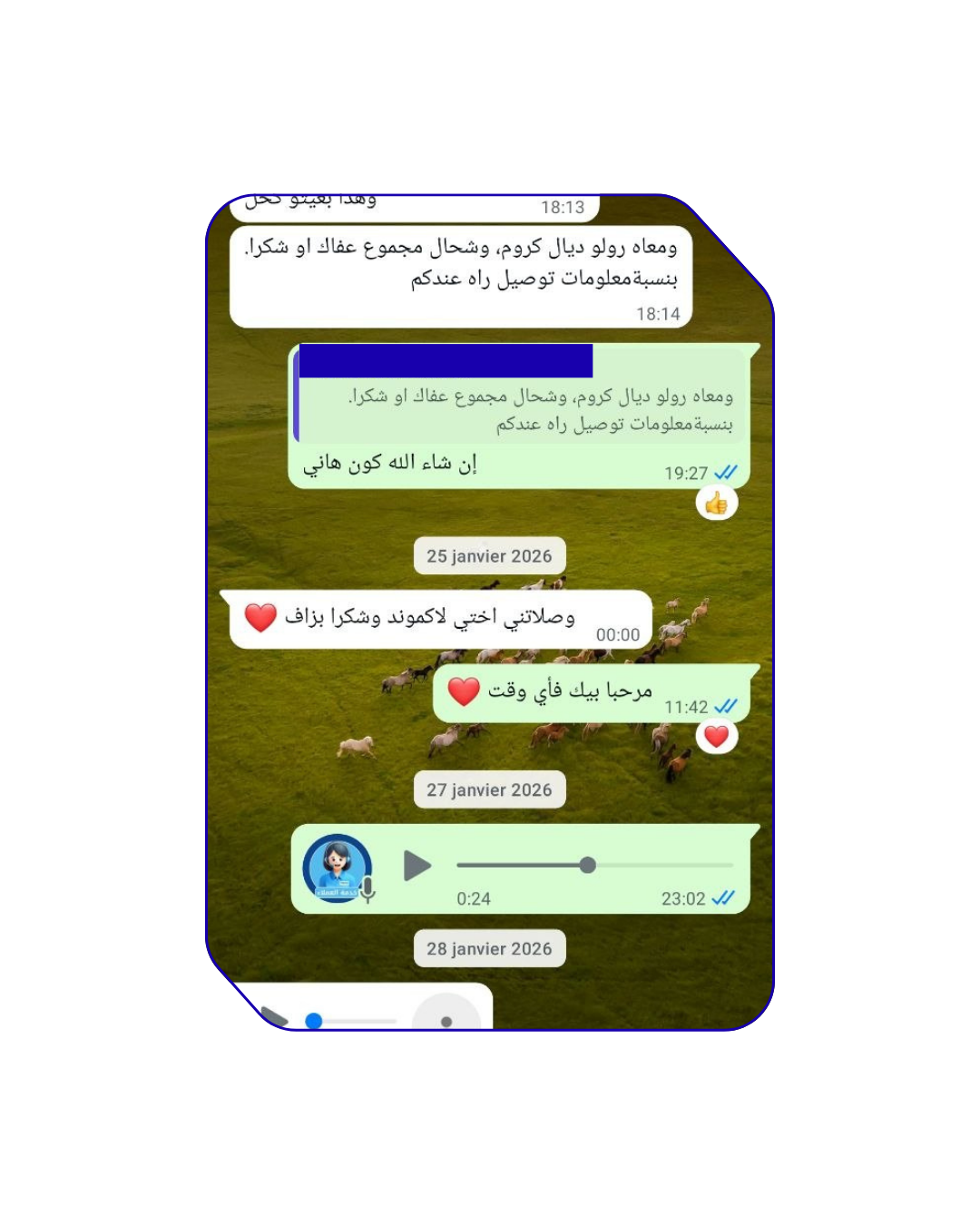 الرئيسية 5